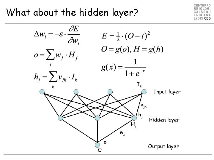 What about the hidden layer? What about the hidden layer?