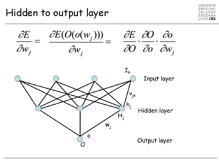 Hidden to output layer Hidden to output layer