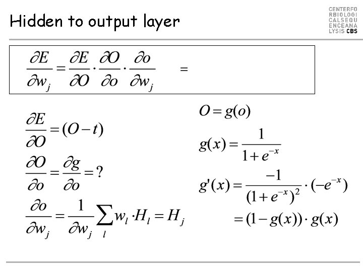 Hidden to output layer Hidden to output layer