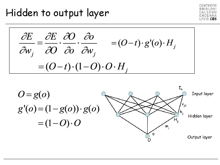 Hidden to output layer Hidden to output layer