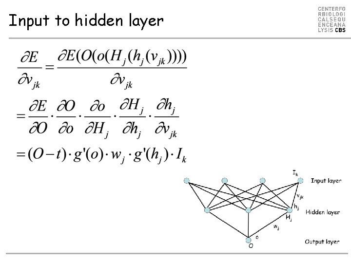 Input to hidden layer Input to hidden layer