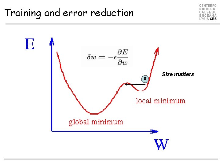 Training and error reduction Size matters Training and error reduction Size matters