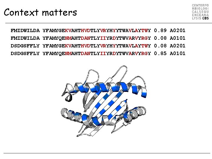 Context matters FMIDWILDA DSDGSFFLY YFAMYGEKVAHTHVDTLYVRYHYYTWAVLAYTWY YFAMYQENMAHTDANTLYIIYRDYTWVARVYRGY 0. 89 0. 08 0. 85 A 0201 Context matters FMIDWILDA DSDGSFFLY YFAMYGEKVAHTHVDTLYVRYHYYTWAVLAYTWY YFAMYQENMAHTDANTLYIIYRDYTWVARVYRGY 0. 89 0. 08 0. 85 A 0201