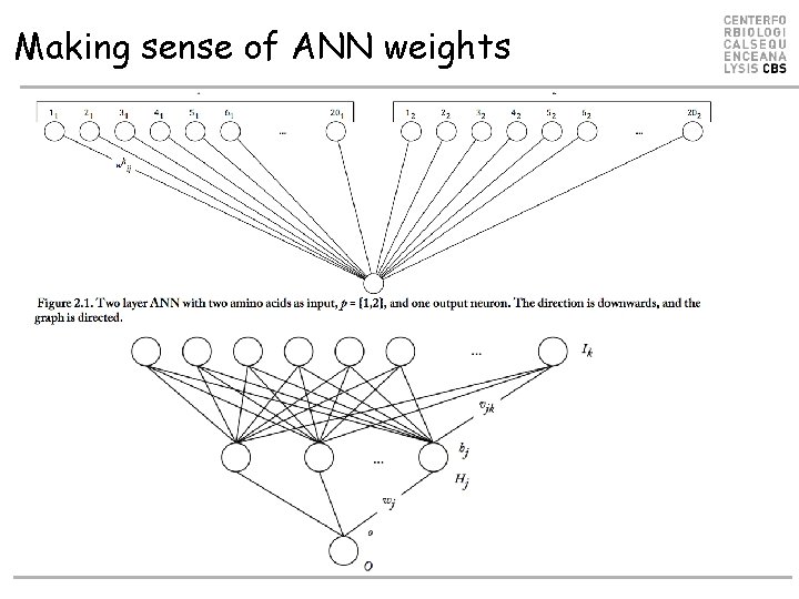 Making sense of ANN weights Making sense of ANN weights
