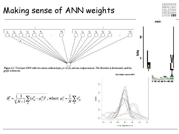 Making sense of ANN weights Making sense of ANN weights
