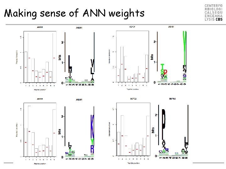 Making sense of ANN weights Making sense of ANN weights