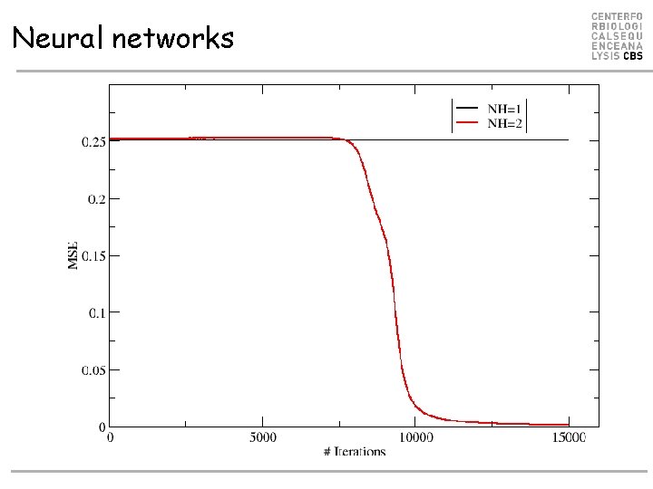 Neural networks Neural networks