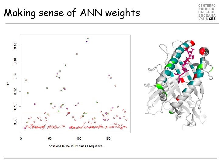 Making sense of ANN weights Making sense of ANN weights
