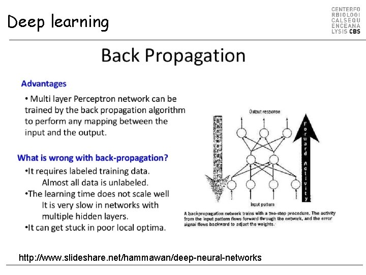 Deep learning http: //www. slideshare. net/hammawan/deep-neural-networks Deep learning http: //www. slideshare. net/hammawan/deep-neural-networks