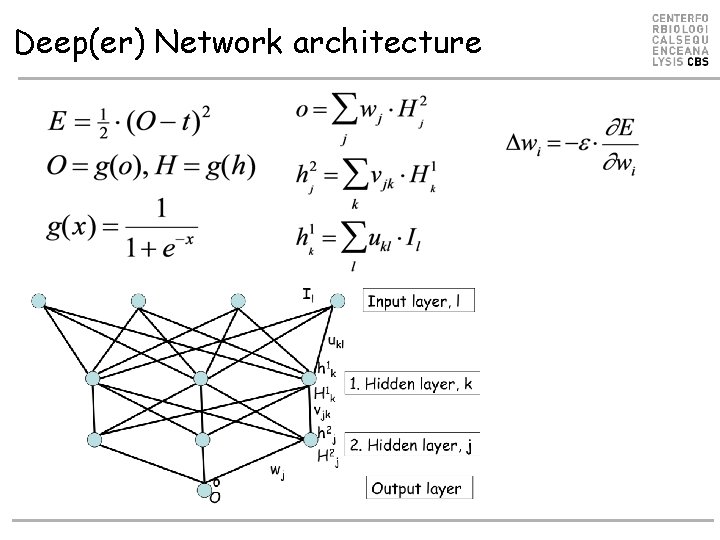 Deep(er) Network architecture Deep(er) Network architecture
