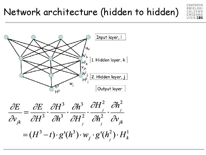 Network architecture (hidden to hidden) Network architecture (hidden to hidden)