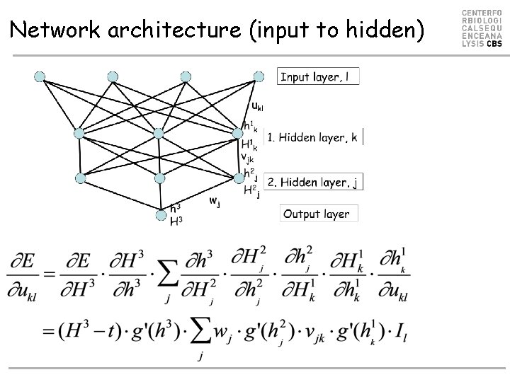 Network architecture (input to hidden) Network architecture (input to hidden)