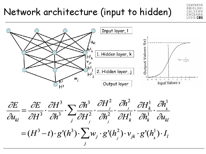 Network architecture (input to hidden) Network architecture (input to hidden)