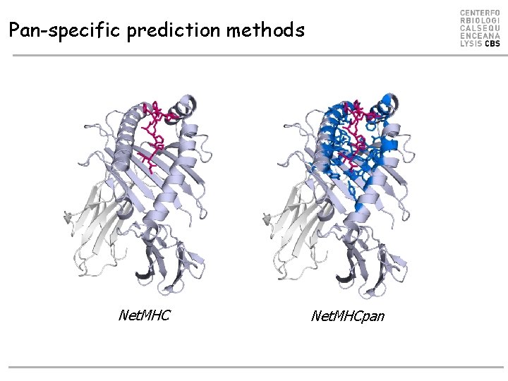 Pan-specific prediction methods Net. MHCpan Pan-specific prediction methods Net. MHCpan