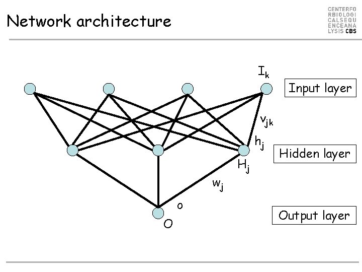 Network architecture Ik Input layer vjk hj wj o O Hj Hidden layer Output Network architecture Ik Input layer vjk hj wj o O Hj Hidden layer Output