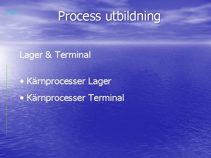 MLH Process utbildning Lager & Terminal • Kärnprocesser Lager • Kärnprocesser Terminal 