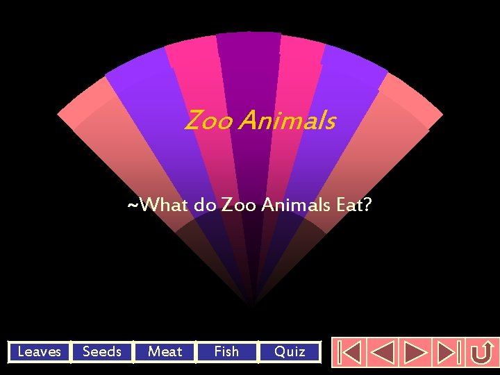 Zoo Animals ~What do Zoo Animals Eat? Leaves Seeds Meat Fish Quiz 