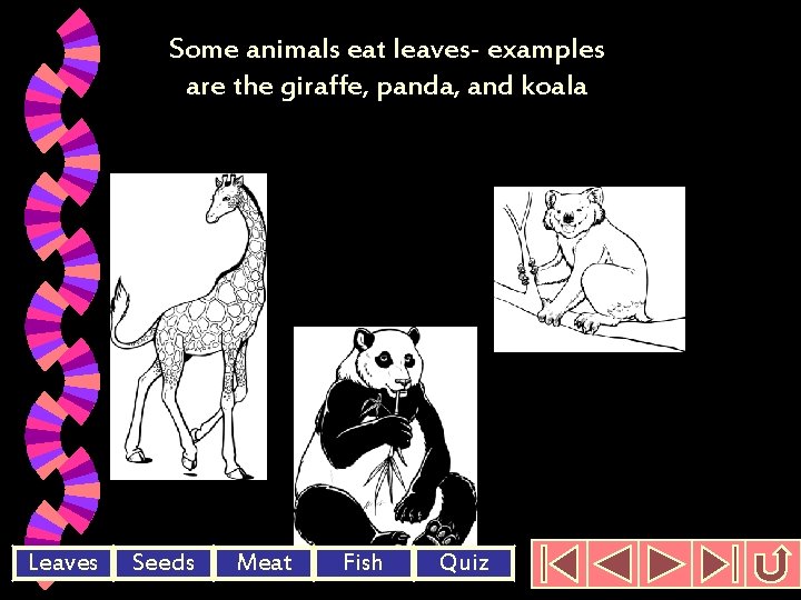 Some animals eat leaves- examples are the giraffe, panda, and koala Leaves Seeds Meat