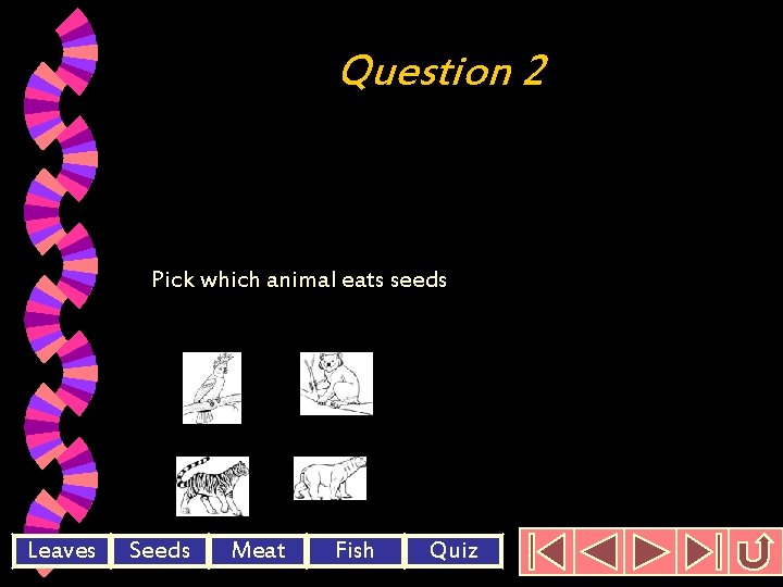 Question 2 Pick which animal eats seeds Leaves Seeds Meat Fish Quiz 