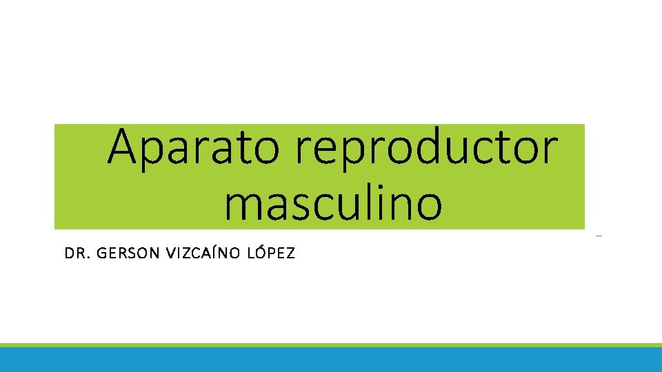 Aparato reproductor masculino DR. GERSON VIZCAÍNO LÓPEZ 