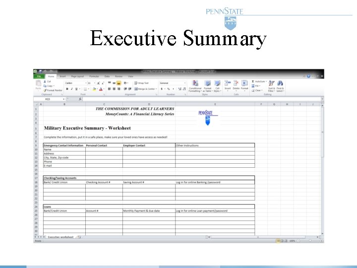 Executive Summary 