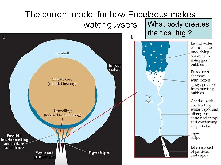 The current model for how Enceladus makes water guysers What body creates the tidal