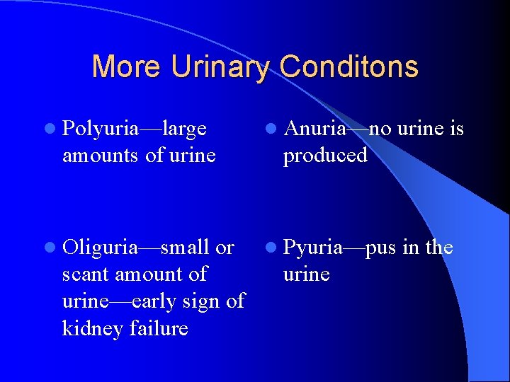 More Urinary Conditons l Polyuria—large l Anuria—no amounts of urine l Oliguria—small or scant