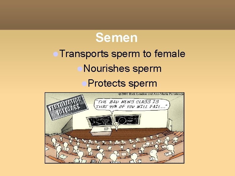 Semen Transports sperm to female Nourishes sperm Protects sperm 