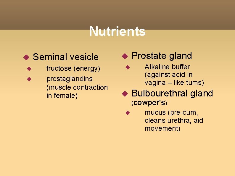 Nutrients Seminal vesicle fructose (energy) prostaglandins (muscle contraction in female) Prostate gland Alkaline buffer