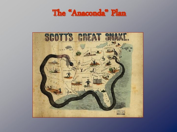 The “Anaconda” Plan 