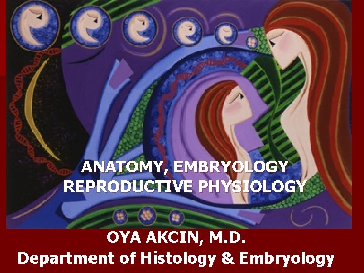 ANATOMY, EMBRYOLOGY REPRODUCTIVE PHYSIOLOGY OYA AKCIN, M. D. Department of Histology & Embryology 