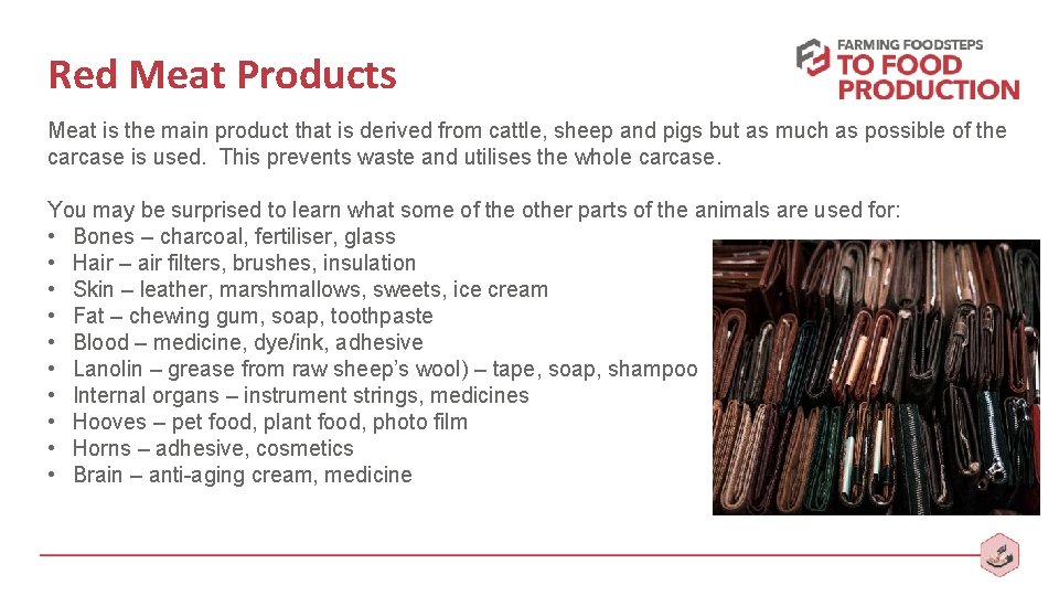 Red Meat Products Meat is the main product that is derived from cattle, sheep