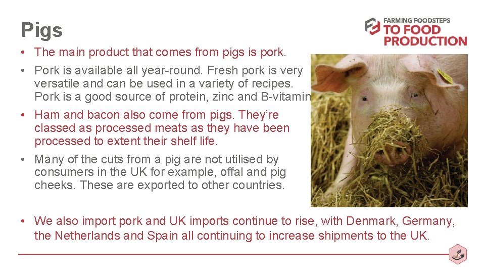 Pigs • The main product that comes from pigs is pork. • Pork is