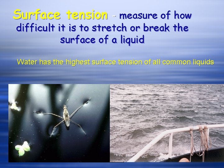 Surface tension - measure of how difficult it is to stretch or break the Surface tension - measure of how difficult it is to stretch or break the