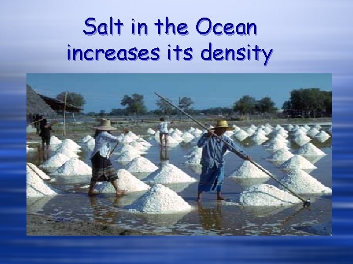Salt in the Ocean increases its density Salt in the Ocean increases its density