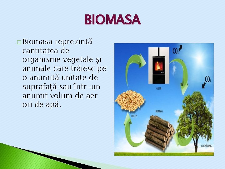 RESURSELE BIOSFEREI lectie pentru clasa a Xa Prof