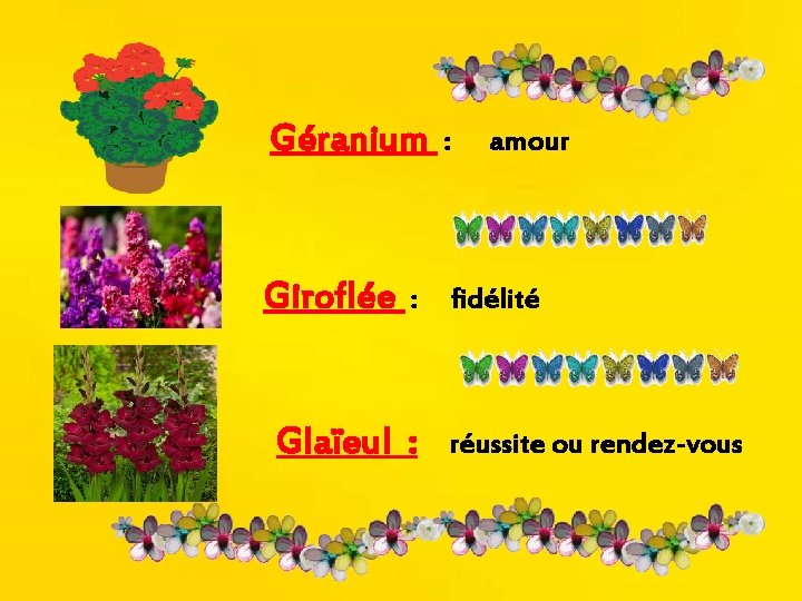 Géranium : Giroflée fidélité : Glaïeul : amour réussite ou rendez-vous 