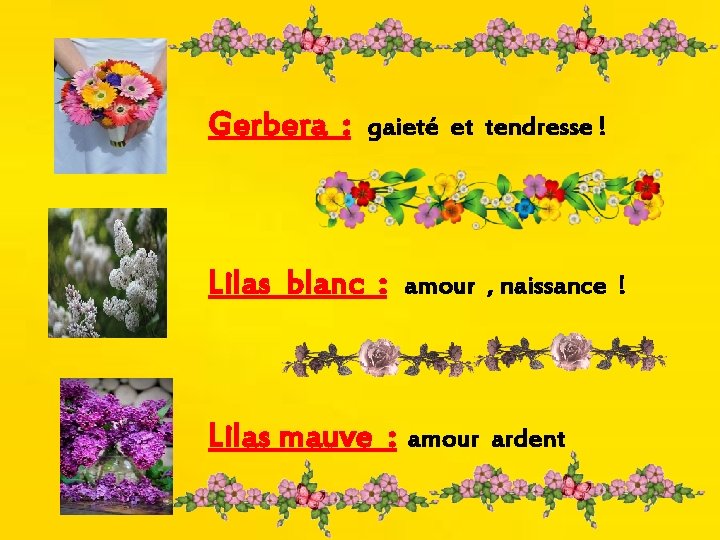 Gerbera : gaieté et tendresse ! Lilas blanc : amour , naissance ! Lilas