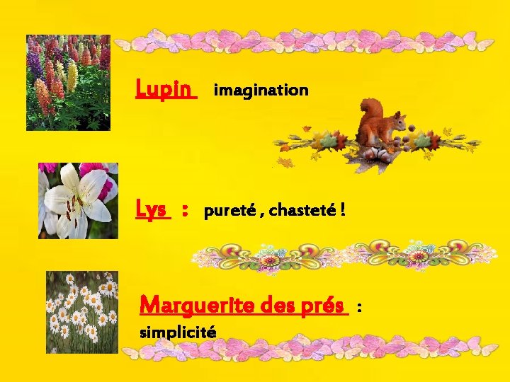 Lupin Lys : imagination pureté , chasteté ! Marguerite des prés simplicité : 