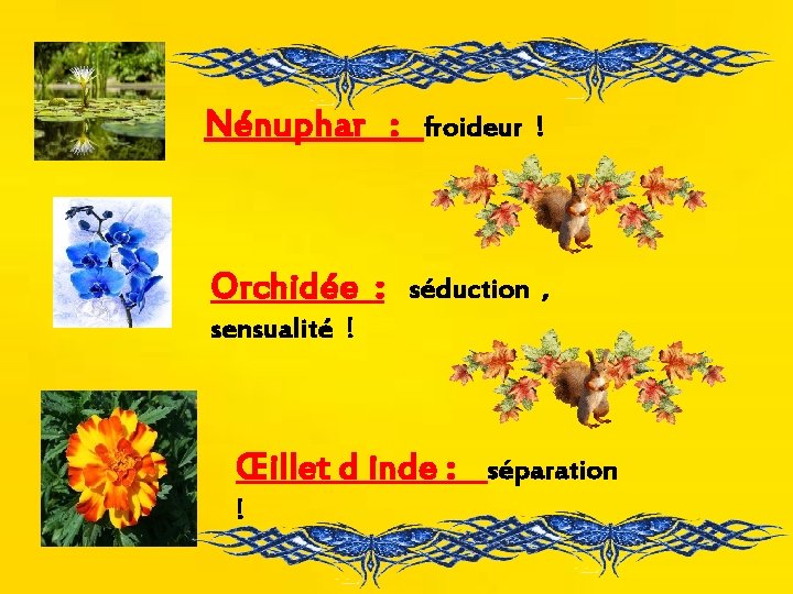 Nénuphar : froideur ! Orchidée : séduction , sensualité ! Œillet d inde :