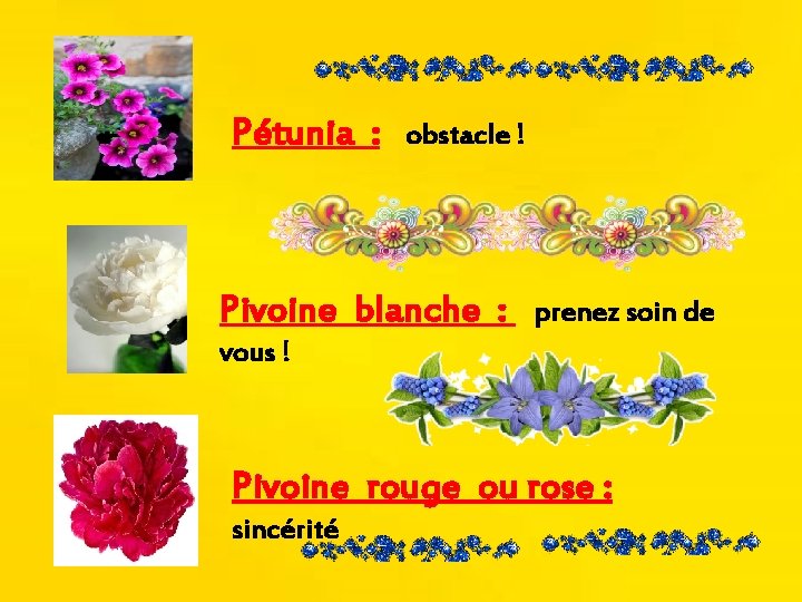 Pétunia : obstacle ! Pivoine blanche : prenez soin de vous ! Pivoine rouge