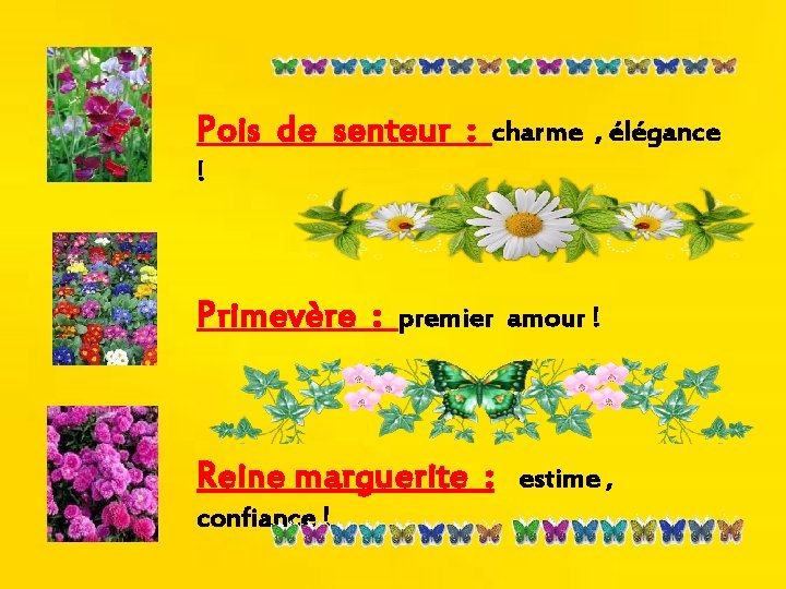 Pois de senteur : charme , élégance ! Primevère : premier amour ! Reine