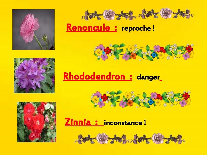 Renoncule : reproche ! Rhododendron : Zinnia : danger inconstance ! 