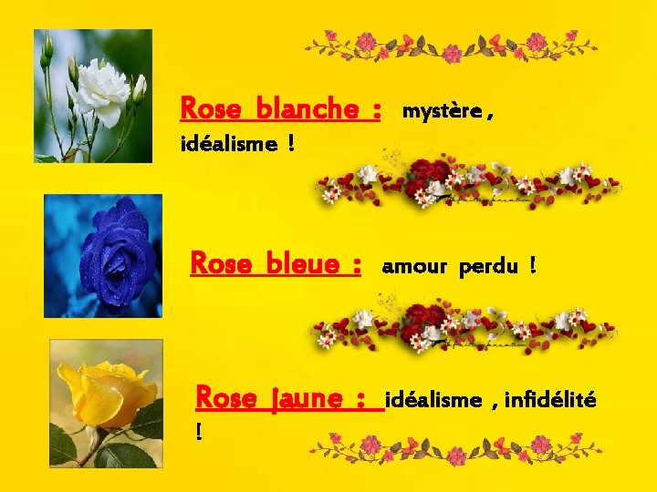 Rose blanche : mystère , idéalisme ! Rose bleue : amour perdu ! Rose