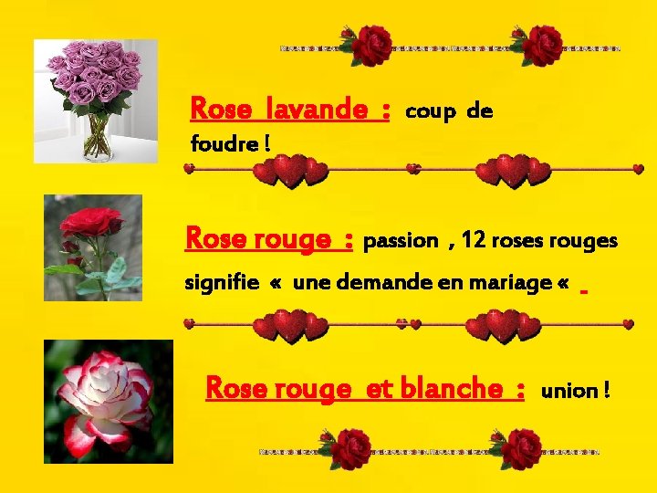 Rose lavande : coup de foudre ! Rose rouge : passion , 12 roses