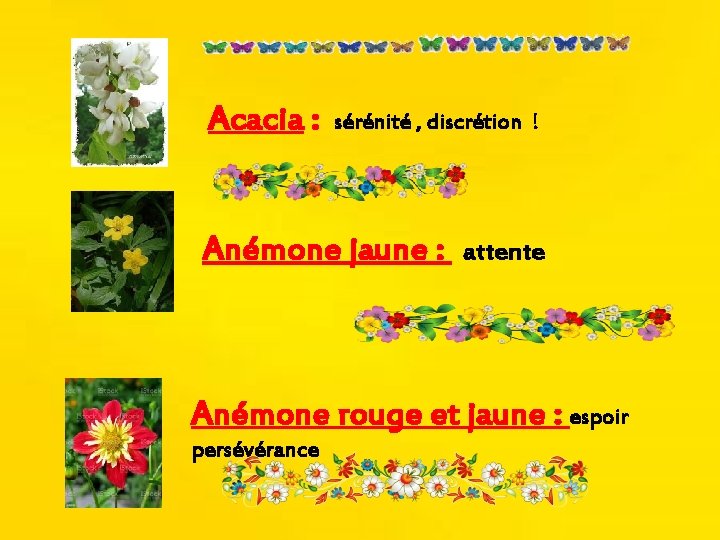 Acacia : sérénité , discrétion ! Anémone jaune : attente Anémone rouge et jaune