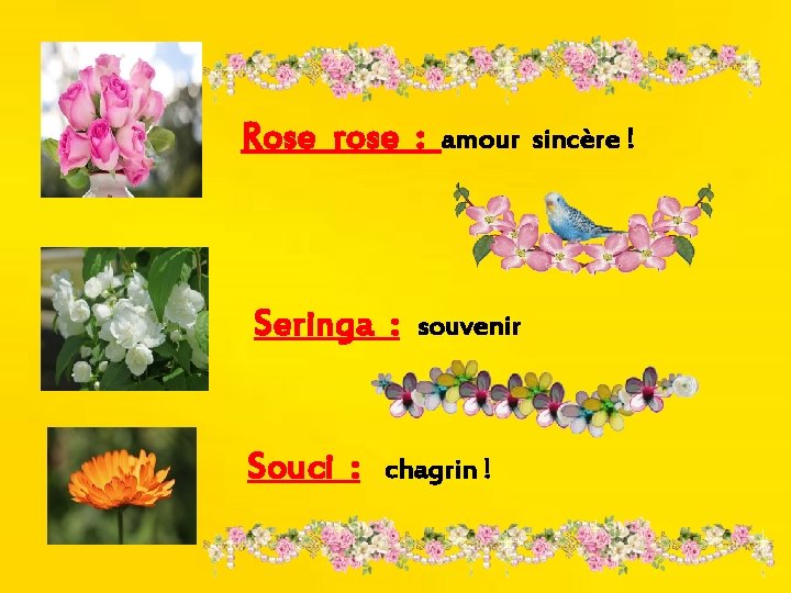 Rose rose : Seringa : Souci : amour sincère ! souvenir chagrin ! 