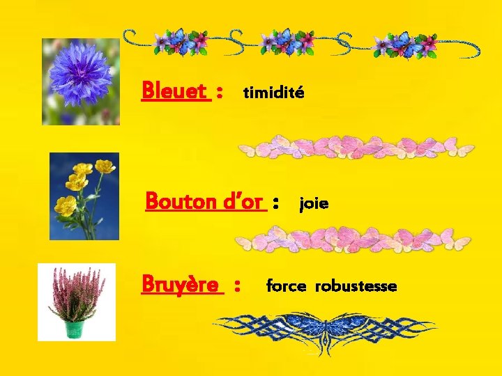 Bleuet : timidité Bouton d’or : Bruyère : joie force robustesse 