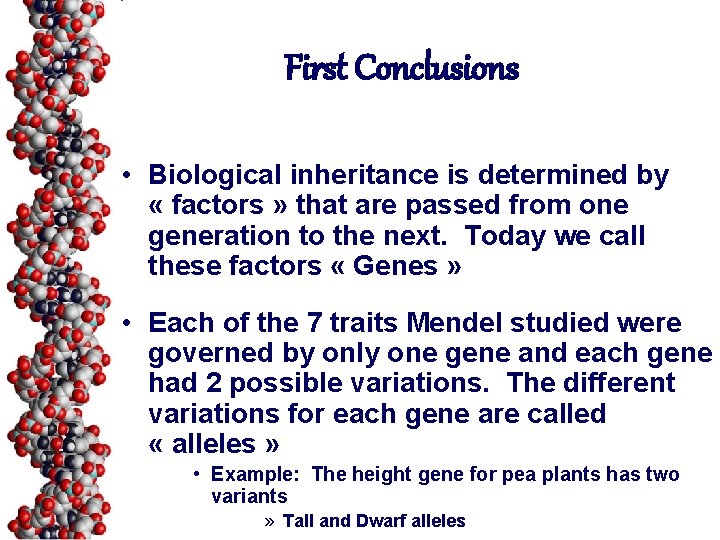 First Conclusions • Biological inheritance is determined by « factors » that are passed