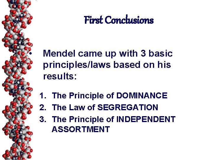 First Conclusions • Mendel came up with 3 basic principles/laws based on his results: